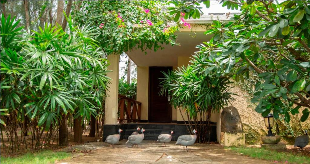 Ocean Spray Hotel Kalapettai Ngoại thất bức ảnh